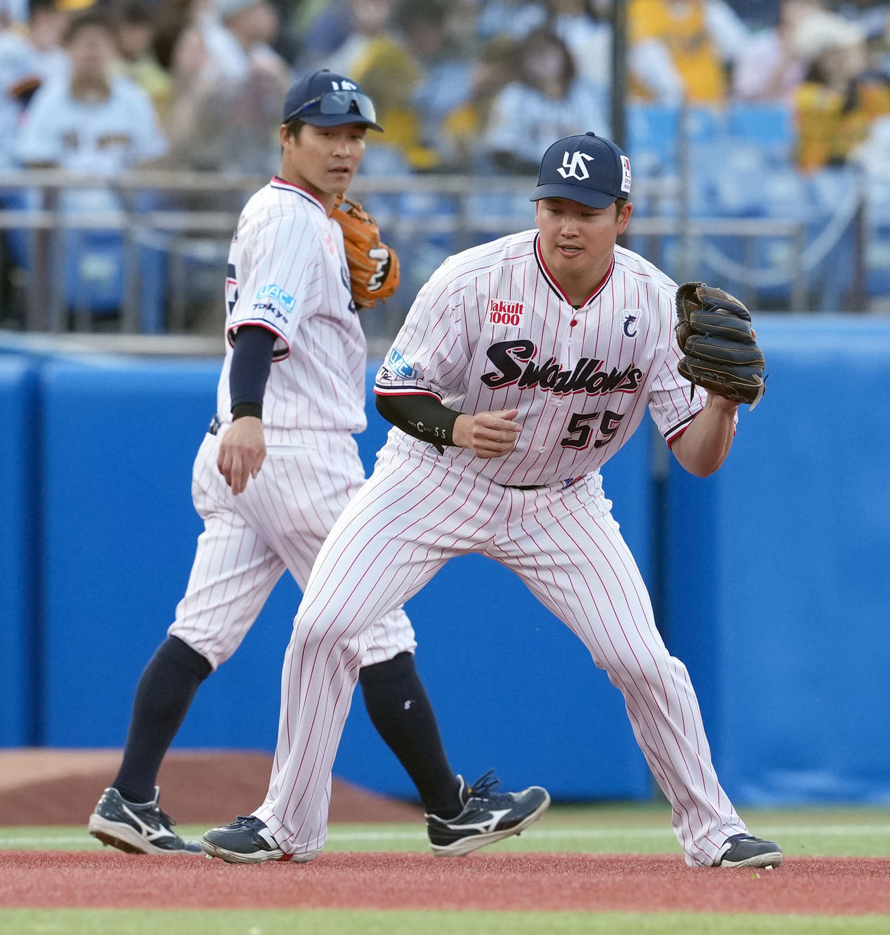 ヤクルト対阪神　試合前のシートノックで三塁の守備に就くヤクルト村上（撮影・たえ見朱実）