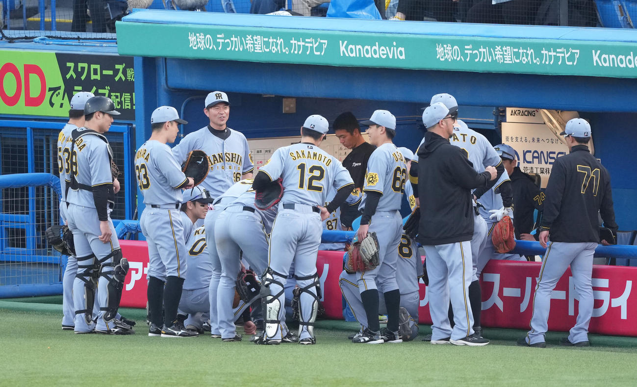 ヤクルト対阪神　試合前、円陣を組む阪神の選手ら（撮影・足立雅史）