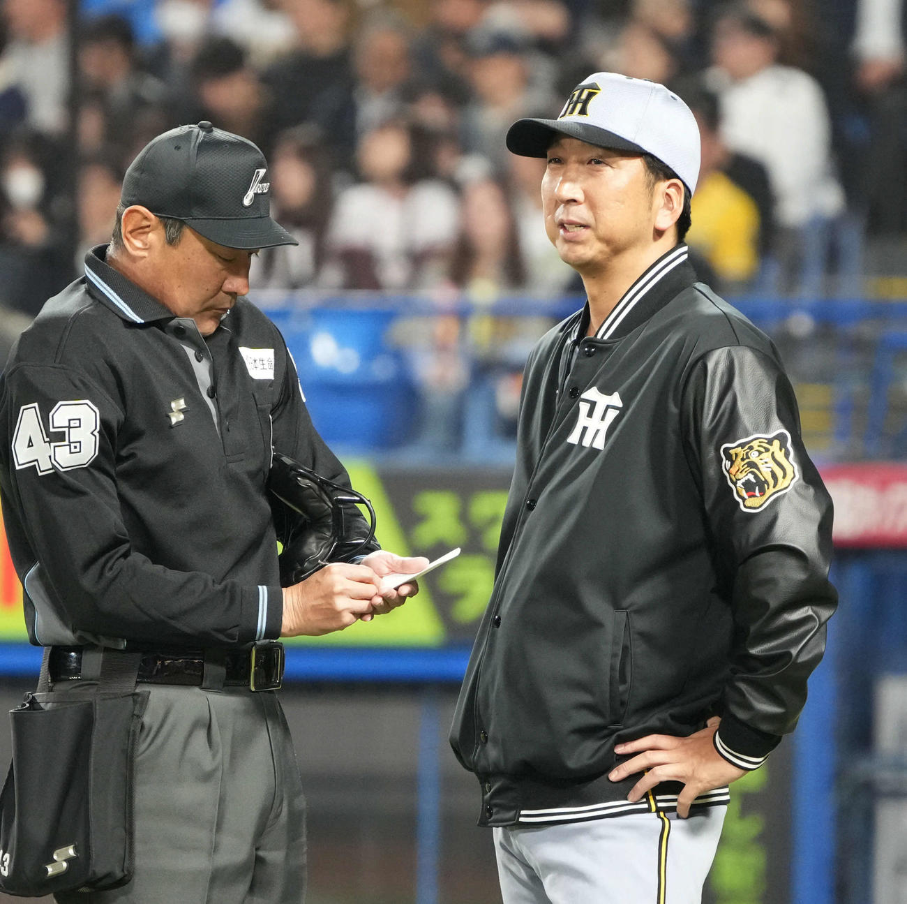ヤクルト対阪神　選手交代を告げる阪神藤川監督（撮影・小沢裕）