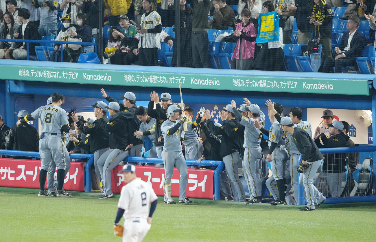 ヤクルト対阪神　11回表阪神1死一塁、右越え2点本塁打を放った近本（中央）はタッチで迎えられる（撮影・足立雅史）