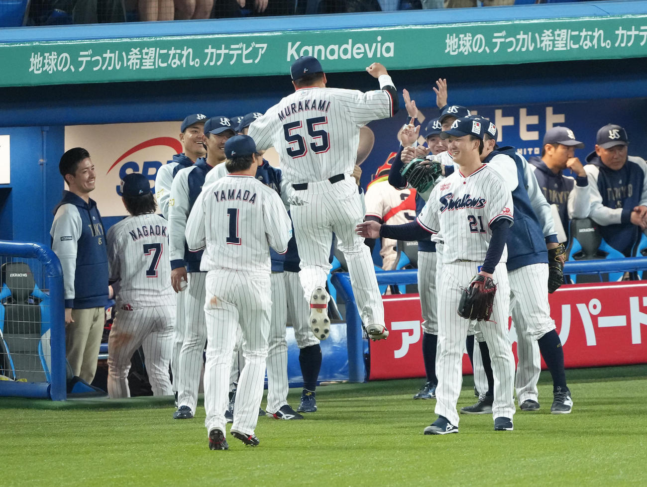 2025年4月17日、ヤクルト対阪神　3回表阪神2死、前川の右飛を捕球し、ベンチを盛り上げるようにジャンプをしながらベンチに戻る村上（中央）