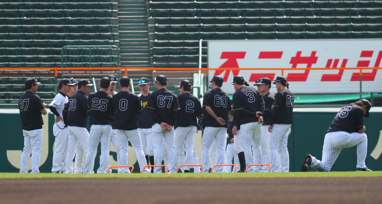 阪神対広島　試合前練習で円陣を組む阪神野手陣（撮影・宮崎幸一）