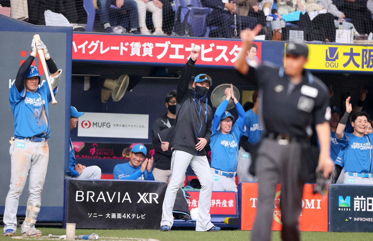 オリックス対日本ハム　1回表日本ハム1死、山縣の遊内野安打はリクエスト判定でもセーフとなり新庄監督（中央）はベンチ前で喜ぶ（撮影・上山淳一）