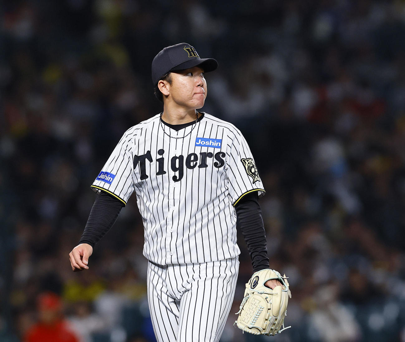 阪神対広島　2回を追え、ベンチに戻る阪神村上（撮影・藤尾明華）