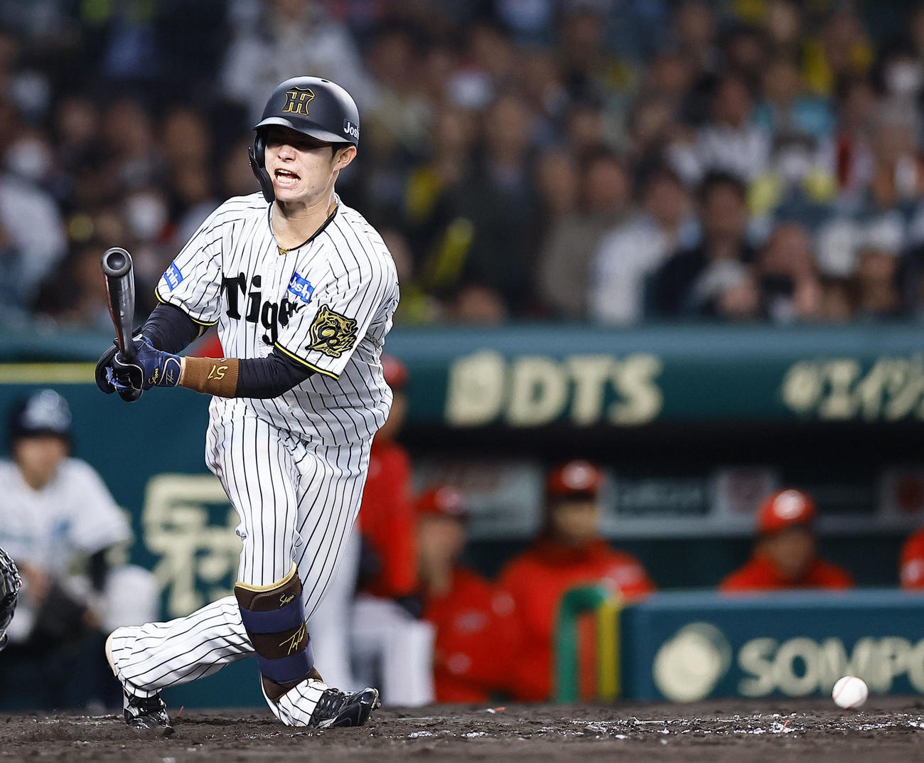 阪神対広島　2回裏阪神無死、右足に自打球を受ける中野（撮影・藤尾明華）