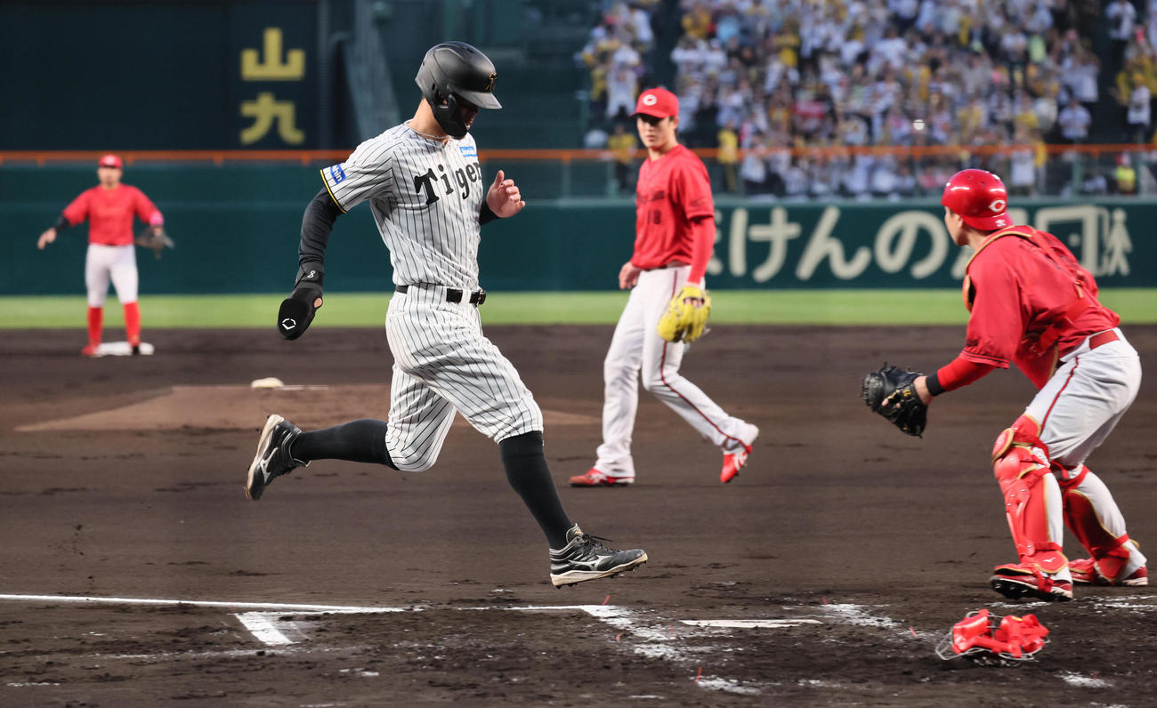 阪神対広島　1回裏阪神2死満塁、佐藤輝は前川の左翼への先制2点適時打で生還する（撮影・宮崎幸一）