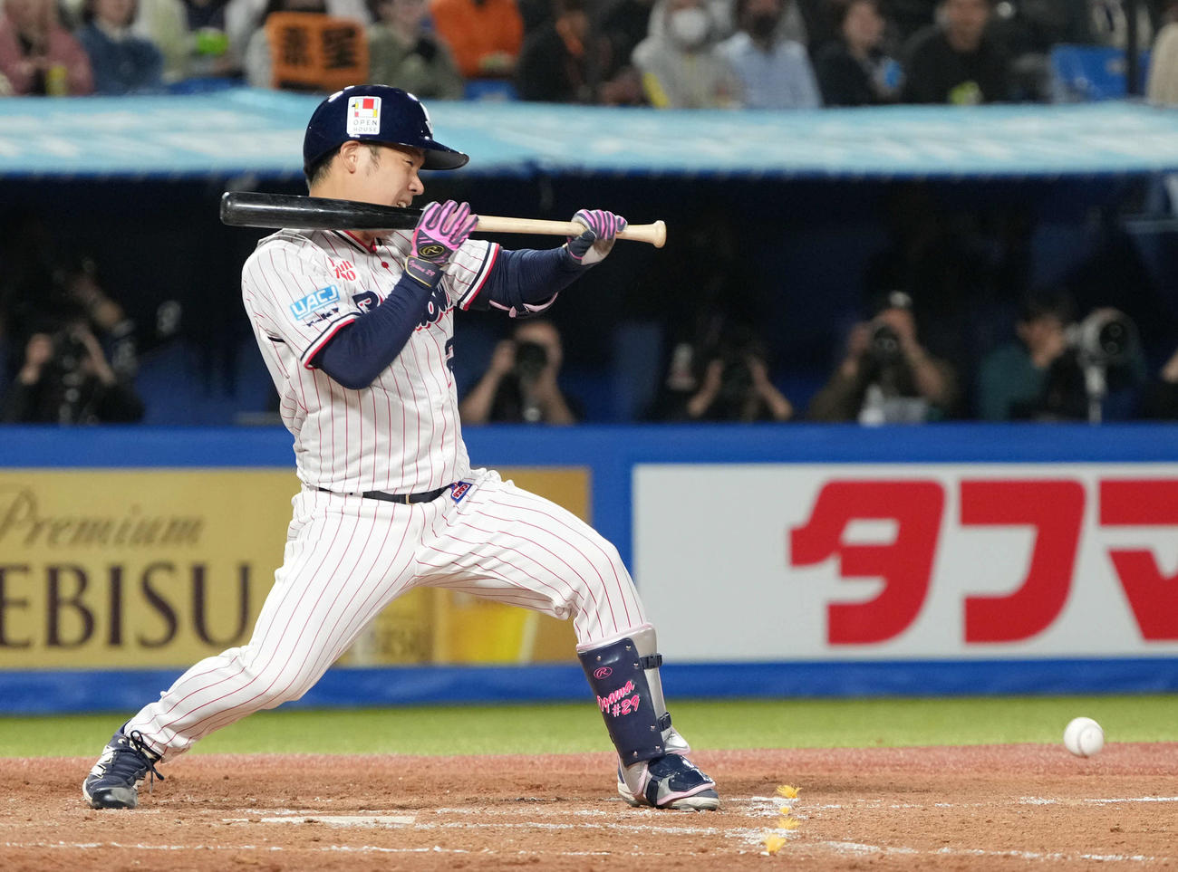 ヤクルト対巨人　5回裏ヤクルト無死一塁、小川は一前に送りバントを決める（撮影・小沢裕）