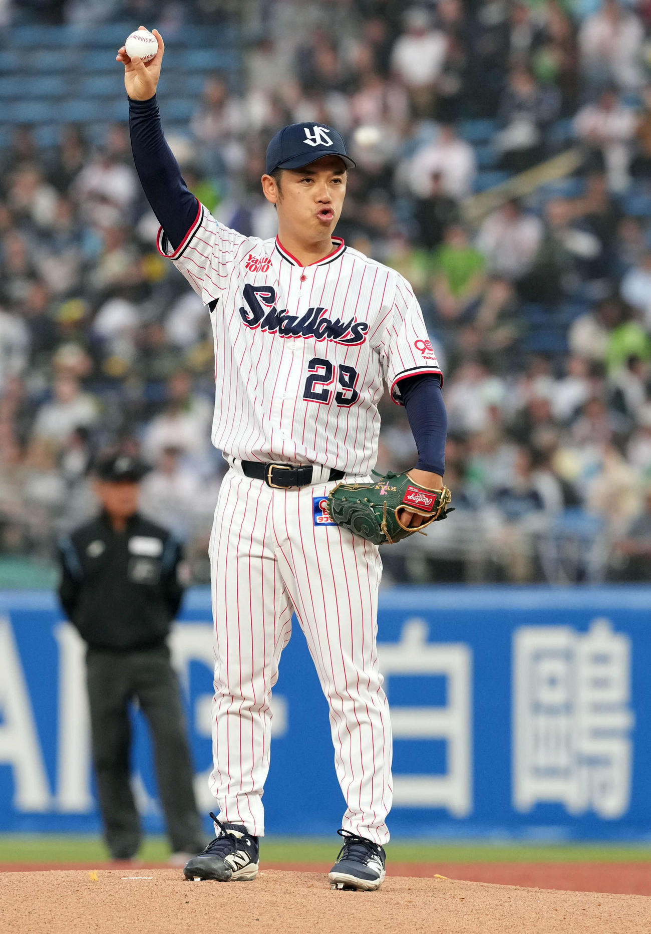 ヤクルト対巨人　集中するヤクルトの先発小川（撮影・たえ見朱実）