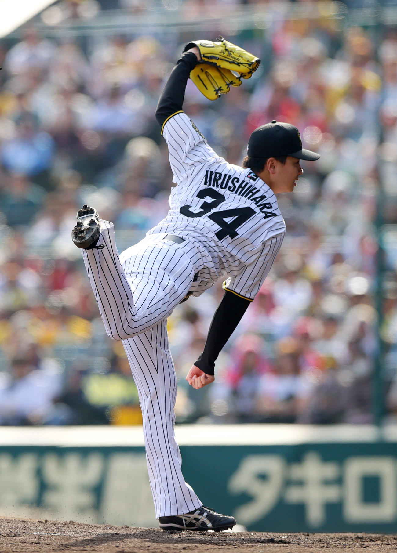 阪神対広島　6回表、2番手で登板の阪神漆原（撮影・上山淳一）