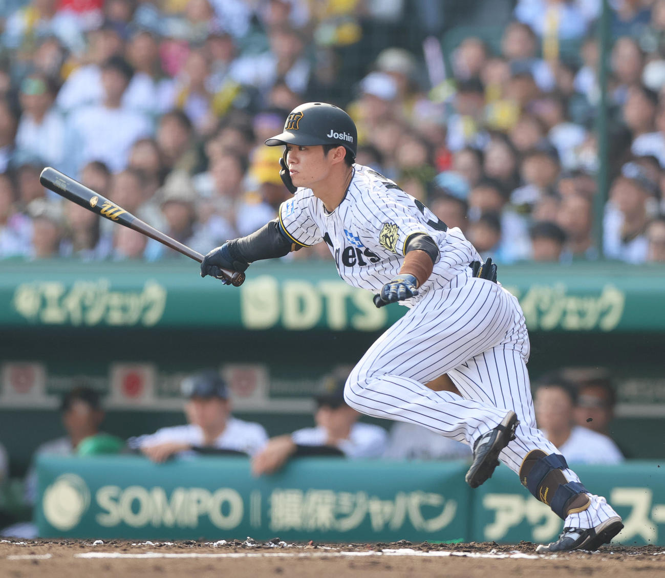 阪神対広島　6回裏阪神2死、中野は中前打を放つ（撮影・上山淳一）