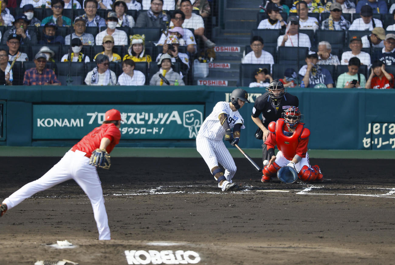 阪神対広島　6回裏阪神2死、中野は中前打を放つ。投手床田（撮影・藤尾明華）
