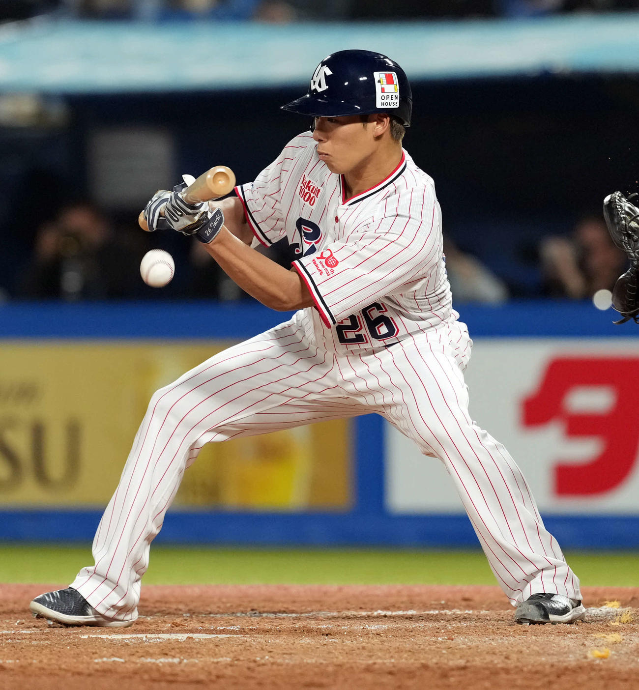 ヤクルト対巨人　4回裏ヤクルト無死二塁、送りバントを決める山野（撮影・たえ見朱実）