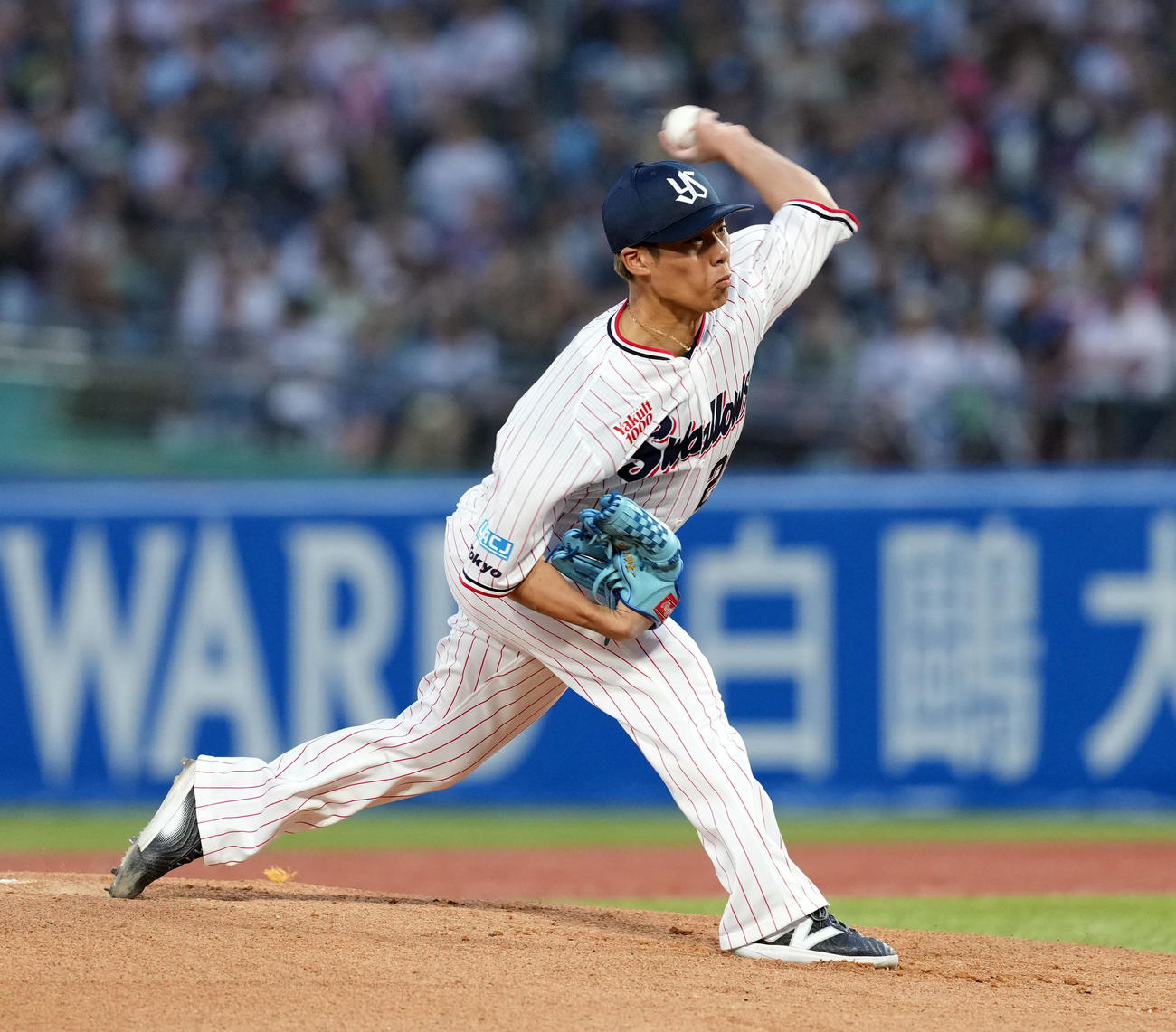 ヤクルト対巨人　ヤクルトの先発山野（撮影・たえ見朱実）