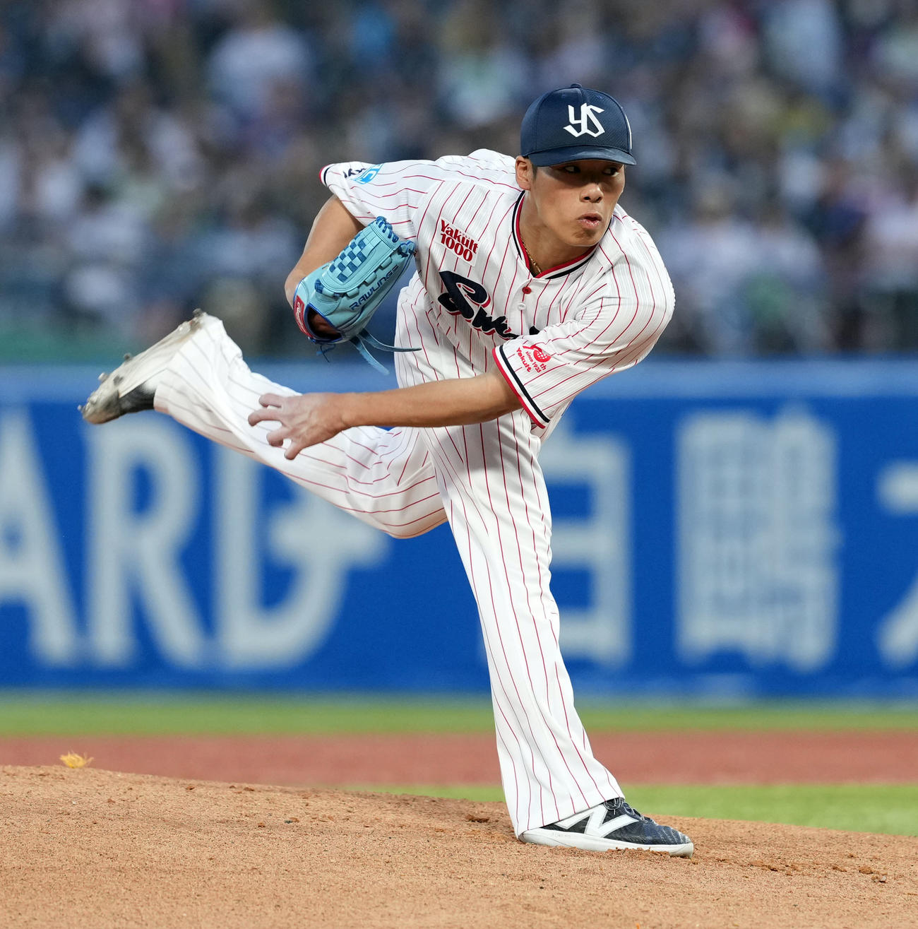 ヤクルト対巨人　ヤクルトの先発山野（撮影・たえ見朱実）