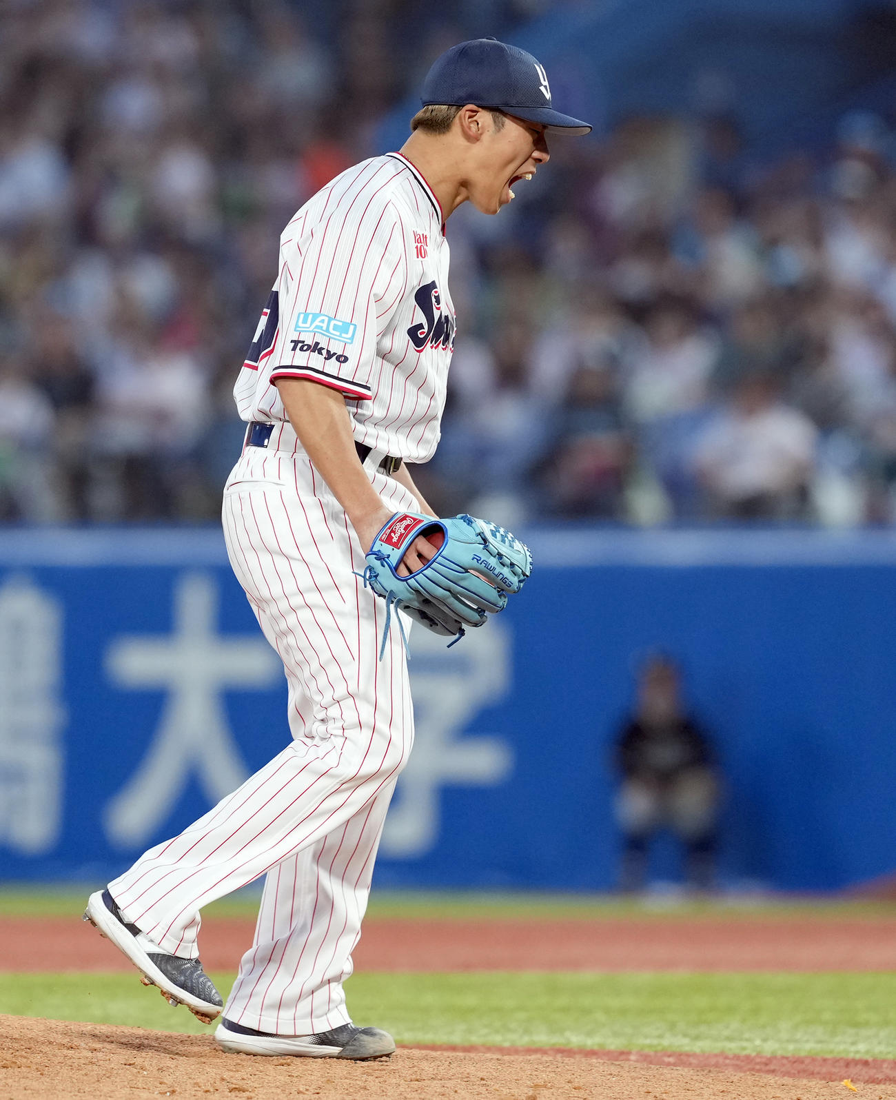 ヤクルト対巨人　1回表巨人2死一、三塁、12球粘った甲斐を空振り三振に仕留めほえるヤクルトの先発山野（撮影・たえ見朱実）
