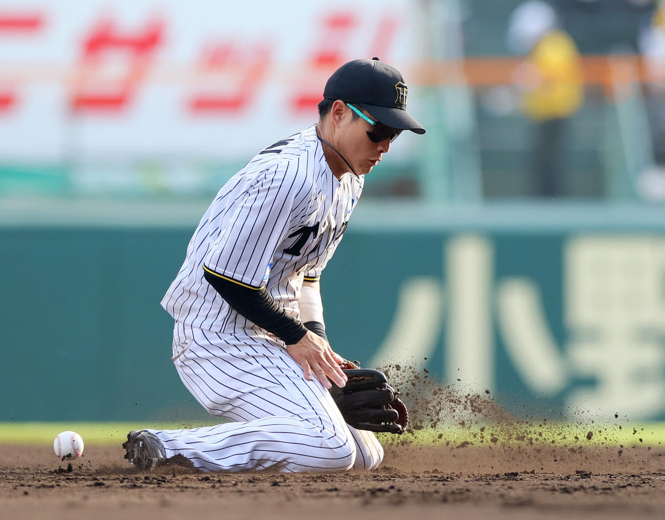 阪神対広島　9回表広島無死一塁、遊撃手木浪は代打中村奨の遊ゴロを後逸する（撮影・上山淳一）