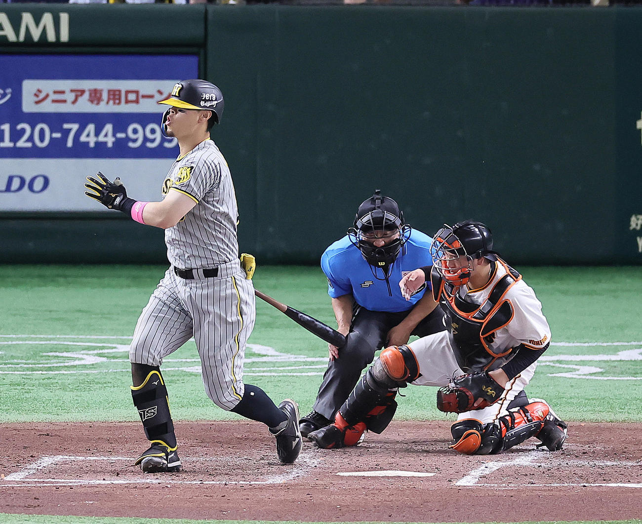 24年7月15日巨人対阪神戦の4回表、佐藤輝のファウルボールが笠原審判員に当たる