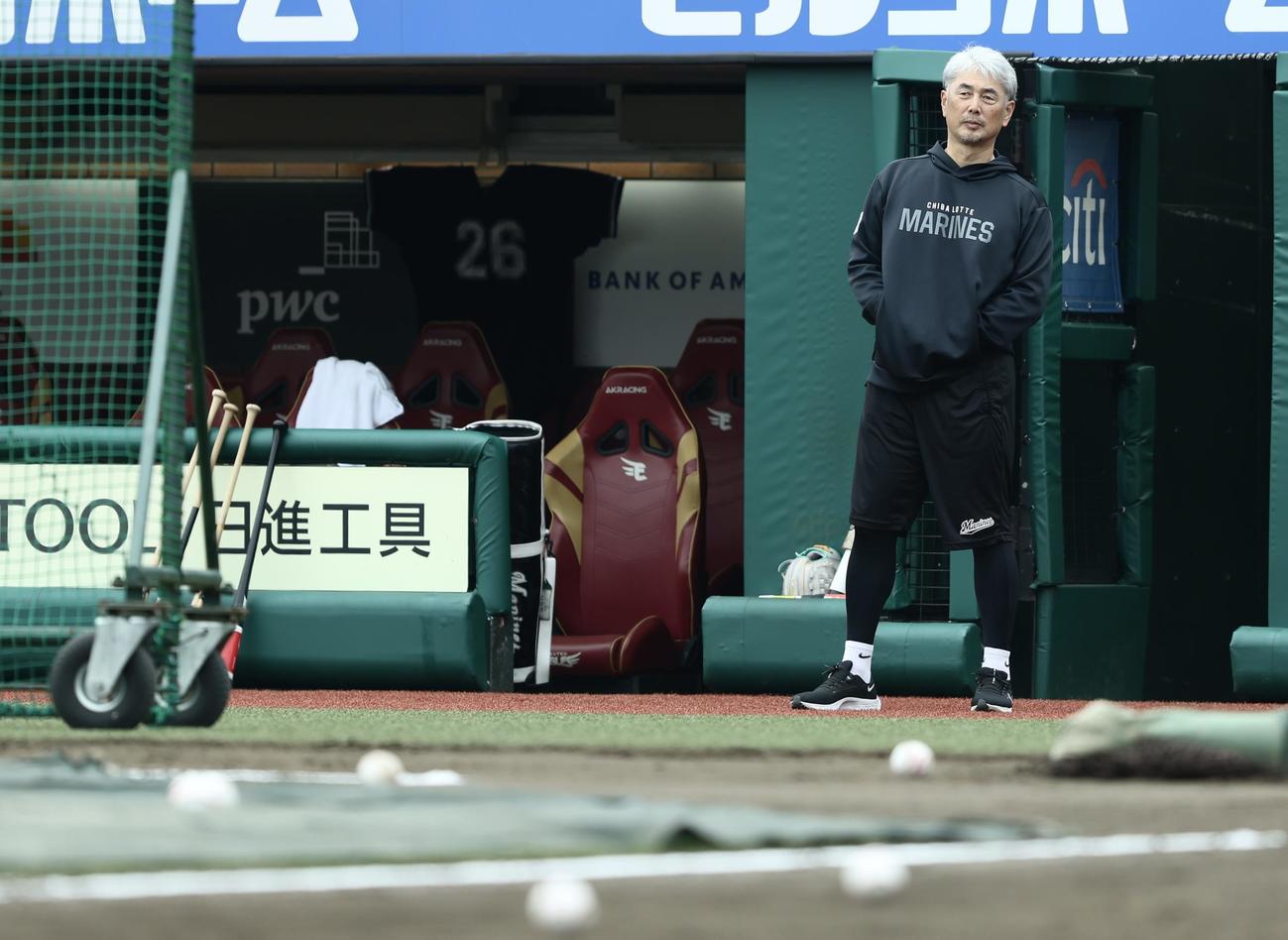 楽天対ロッテ　試合前、練習を見守るロッテ吉井監督（撮影・河田真司）