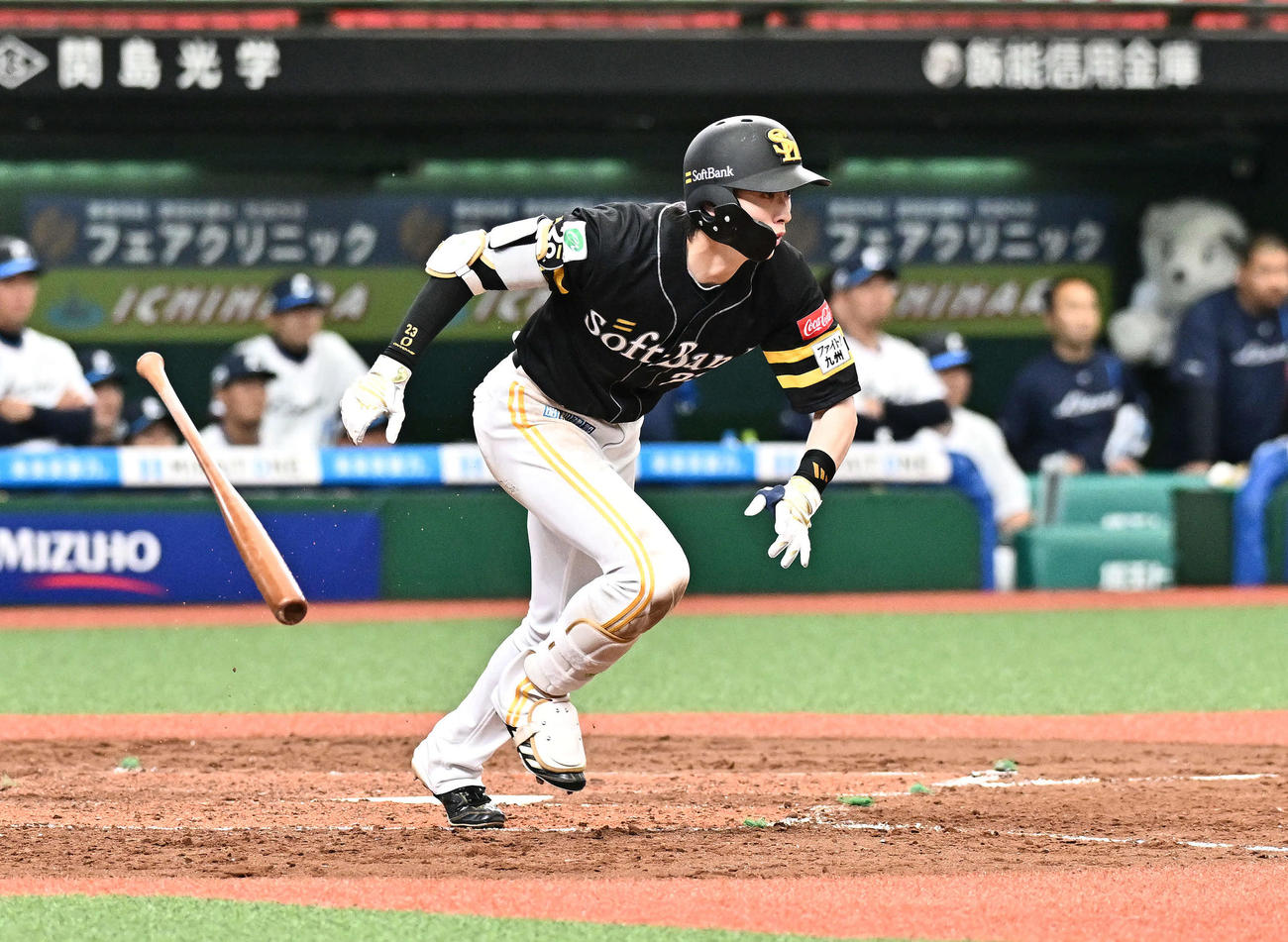 西武対ソフトバンク　4回表ソフトバンク2死一塁、周東は右前打を放つ（撮影・滝沢徹郎）