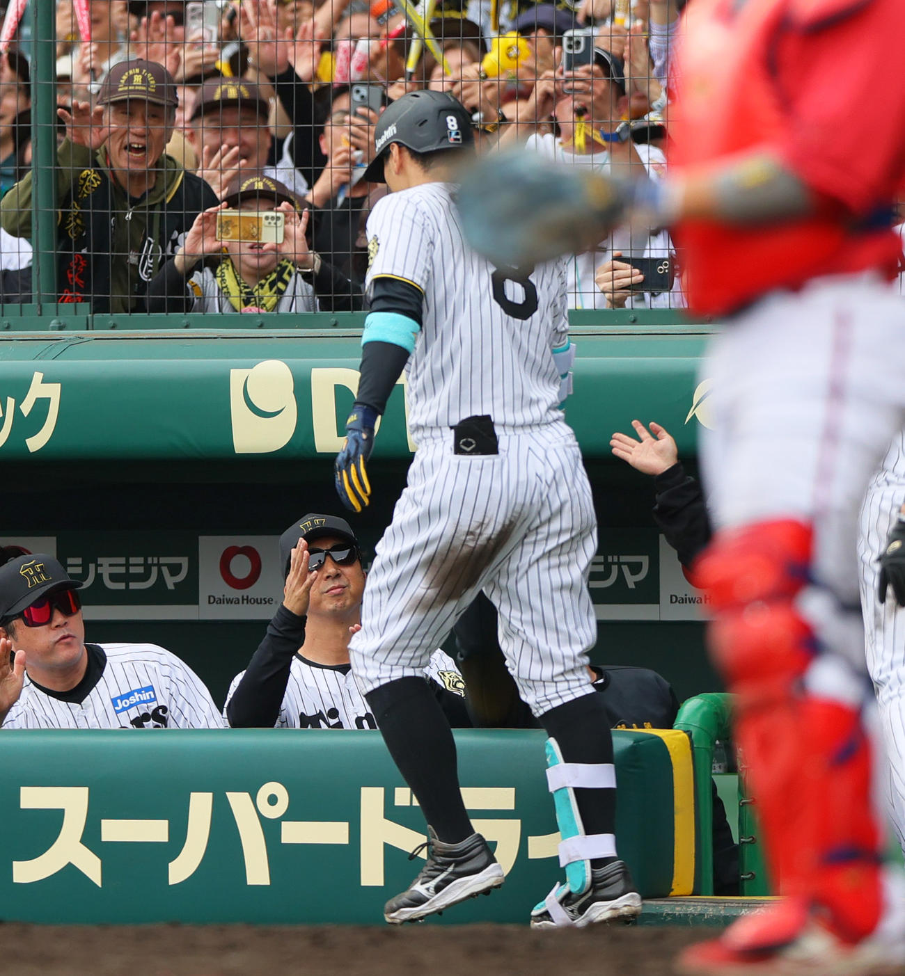 阪神対広島　5回裏阪神1死二、三塁、中越え3点本塁打を放った佐藤輝（手前）を出迎える藤川監督（左から2人目）（撮影・上山淳一）