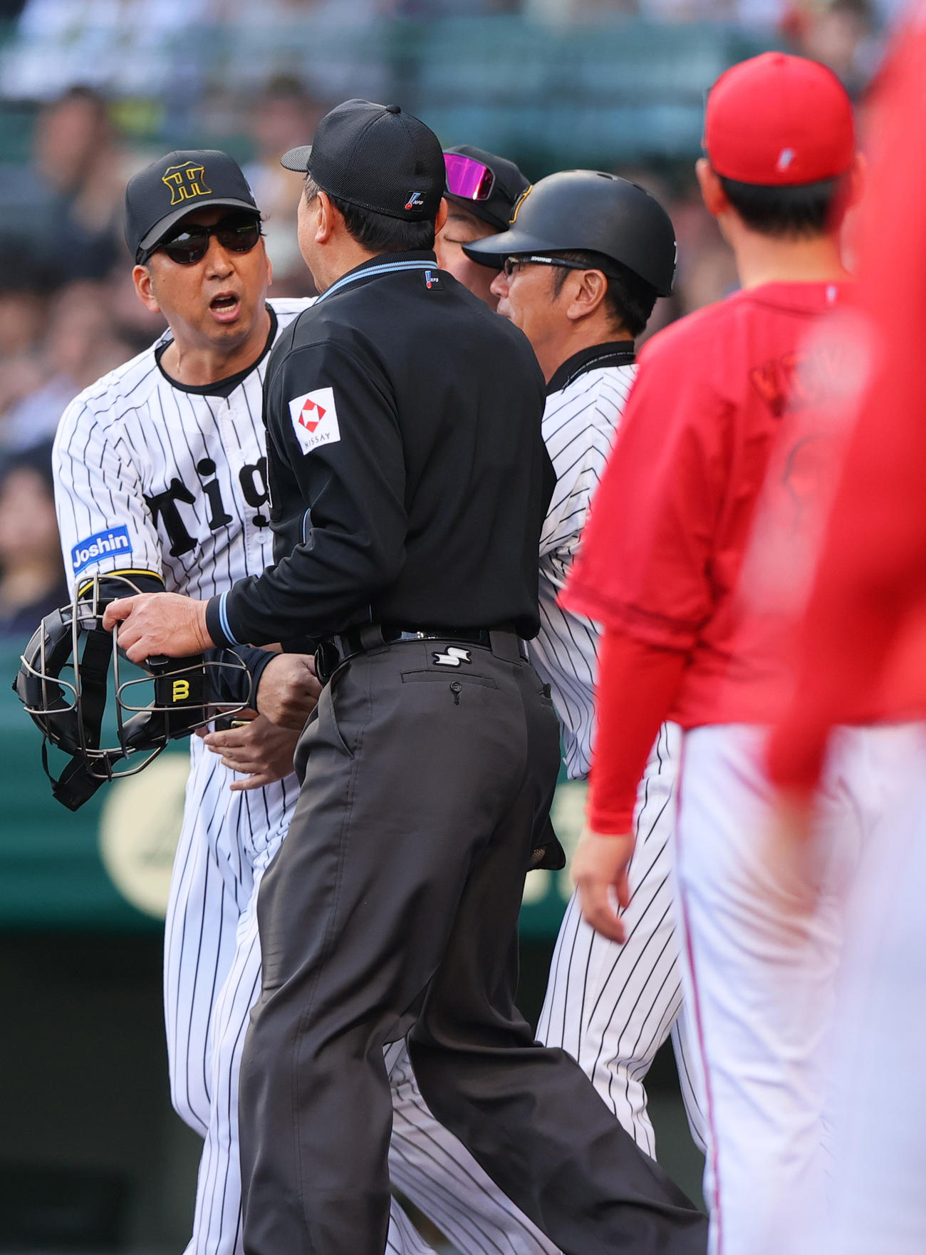阪神対広島　8回裏広島1死、一、二塁、藤川監督（左）は坂本が死球を当てられベンチから飛び出し激高する（撮影・上山淳一）