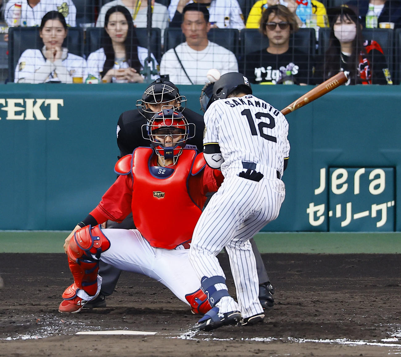 阪神対広島　8回裏阪神1死一、二塁、坂本は頭部に死球を受ける（撮影・藤尾明華）
