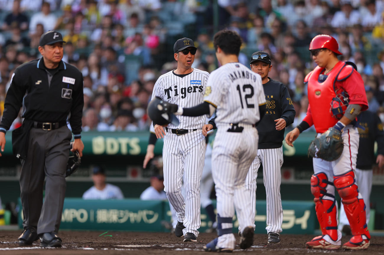 阪神対広島　8回裏広島1死、一、二塁、藤川監督（左から2人目）は坂本が死球を当てられベンチから飛び出す（撮影・上山淳一）