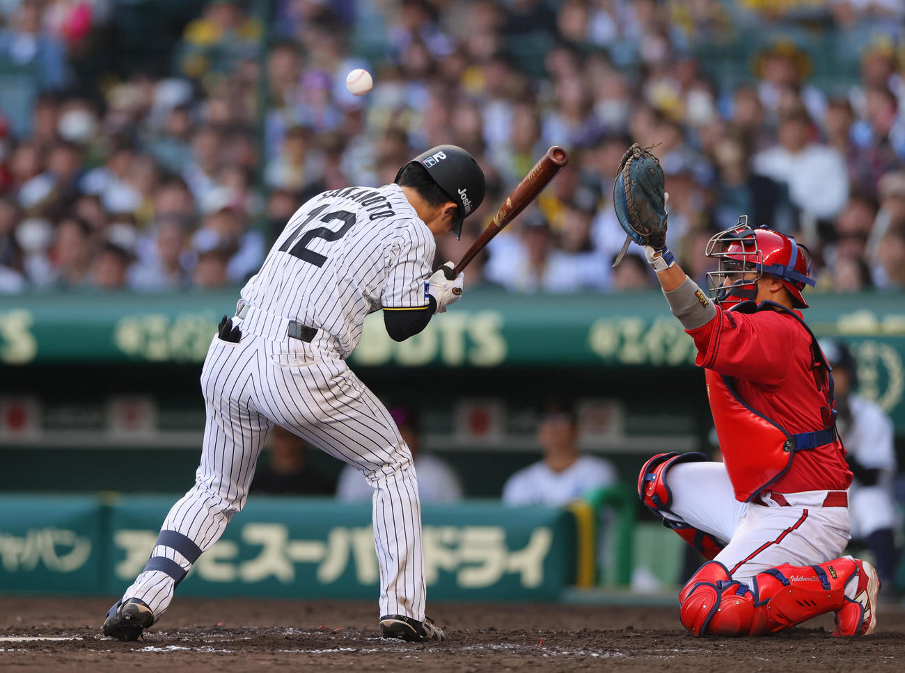 阪神対広島　8回裏阪神1死一、二塁、坂本は死球を受ける（撮影・上山淳一）