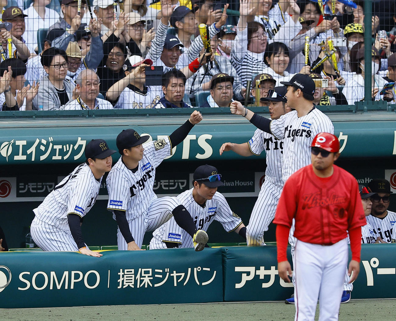 阪神対広島　プロ初勝利を飾り、グータッチを交わしながらベンチを出る阪神伊原（左から2人目）（撮影・藤尾明華）