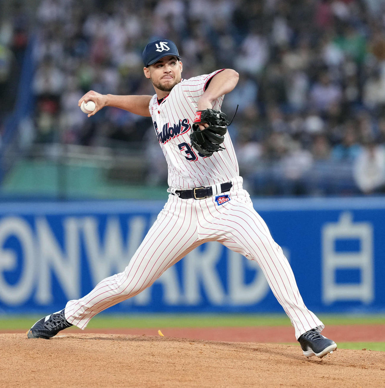 ヤクルト対巨人　ヤクルトの先発ランバート（撮影・たえ見朱実）