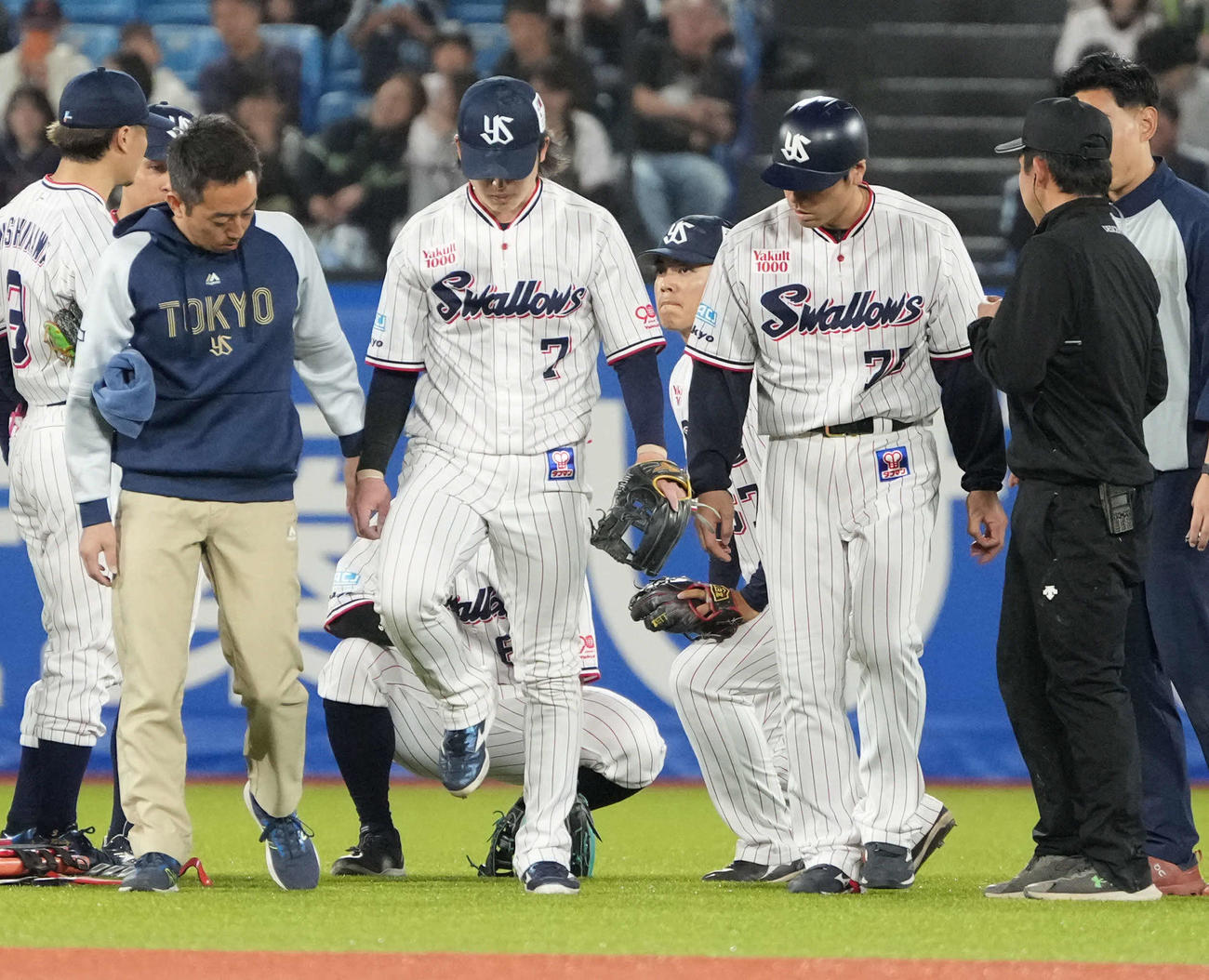 ヤクルト対巨人　8回表巨人1死、岡本和真の飛球を好捕した際に右足を痛めたヤクルト長岡遊撃手（中央）は治療のためベンチへ引き揚げる（撮影・小沢裕）