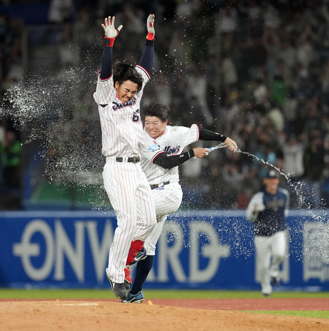 ヤクルト対巨人　10回裏ヤクルト2死二、三塁、サヨナラ打を放ち祝福を受ける伊藤（撮影・たえ見朱実）