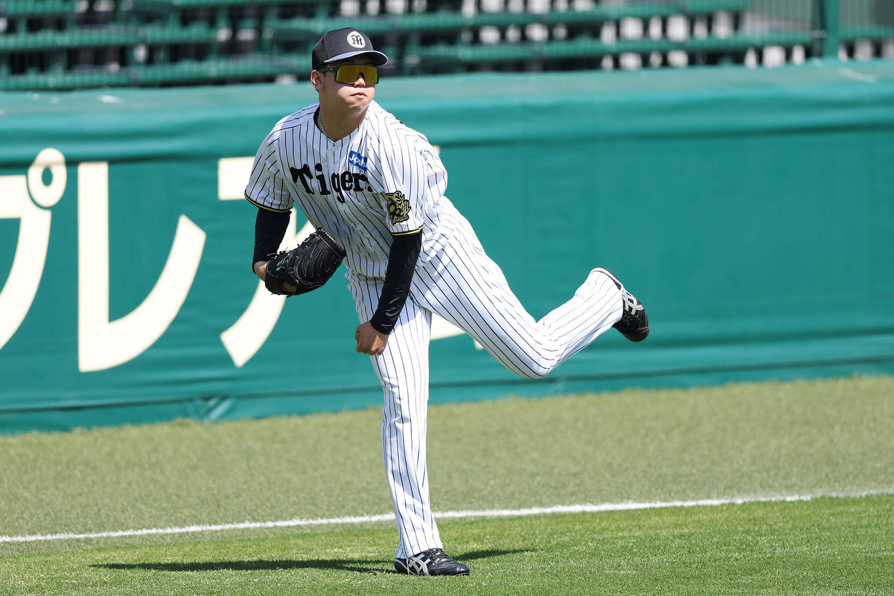 キャッチボールで調整する阪神門別（撮影・前田充）