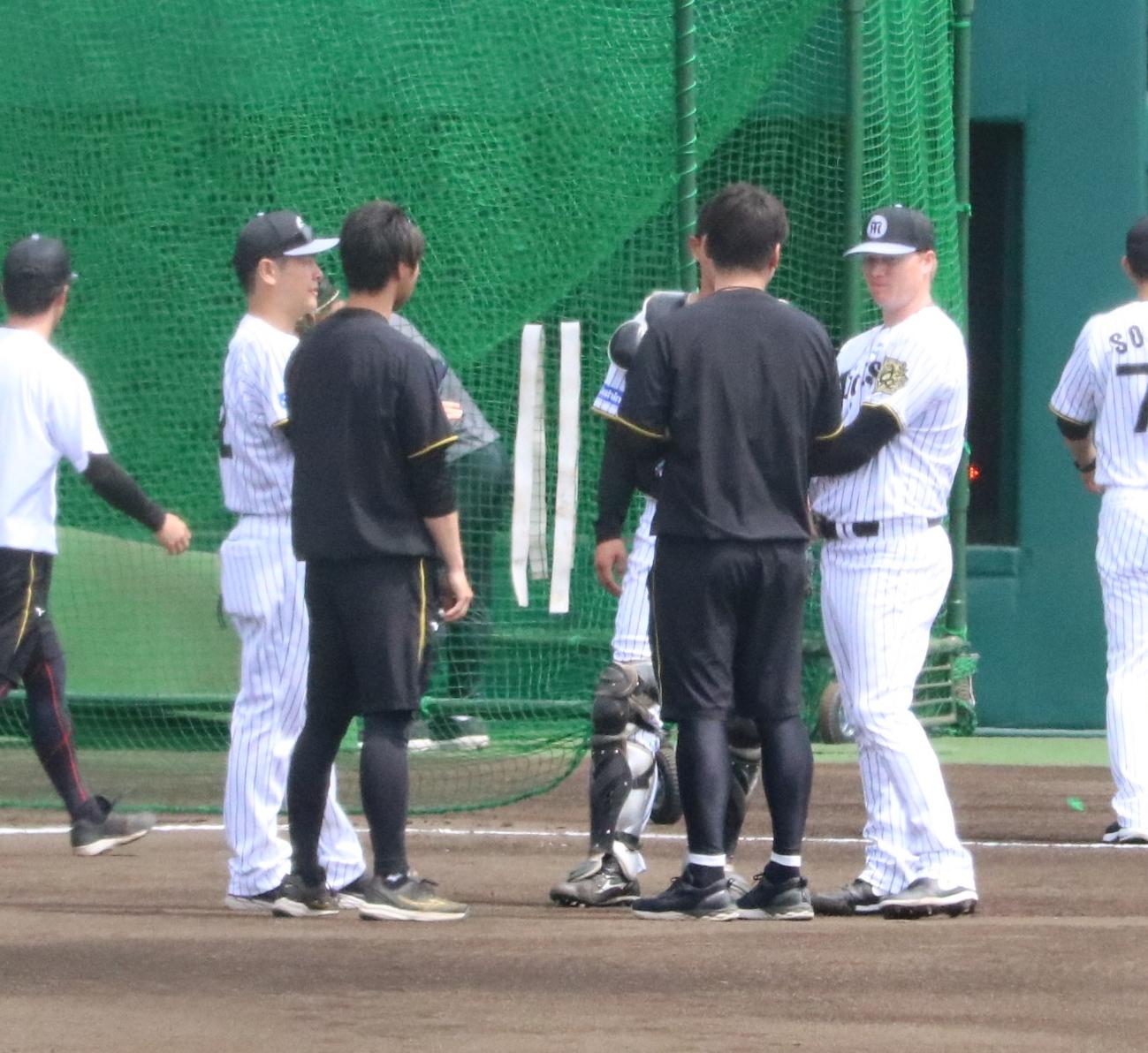 阪神のネルソン（右端）がライブBPを終えて江草投手コーチ（右端）らと話す（撮影・林亮佑）
