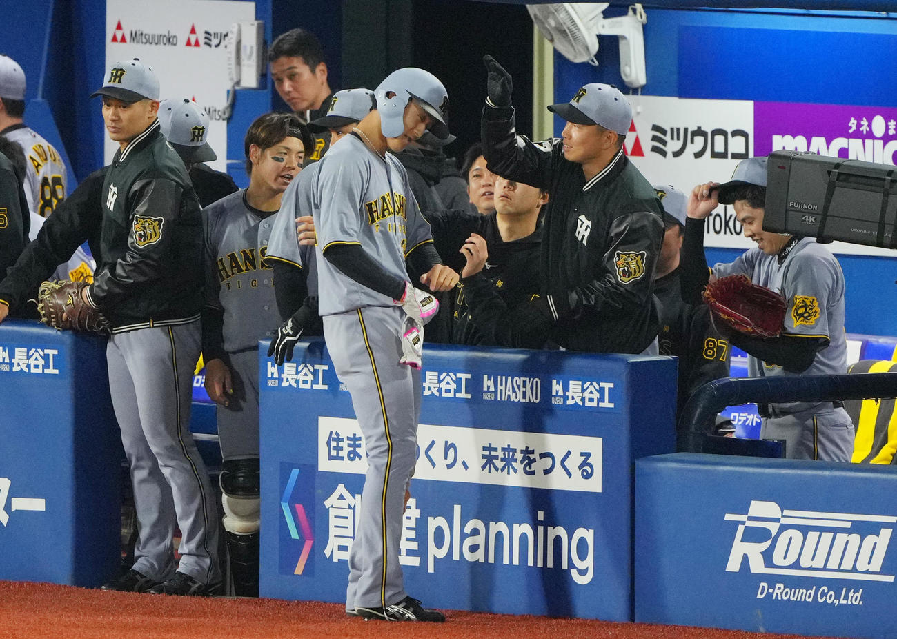 DeNA対阪神　5回表阪神1死二塁、近本の適時打で生還しナインの出迎えを受ける小幡（中央）（撮影・垰建太）