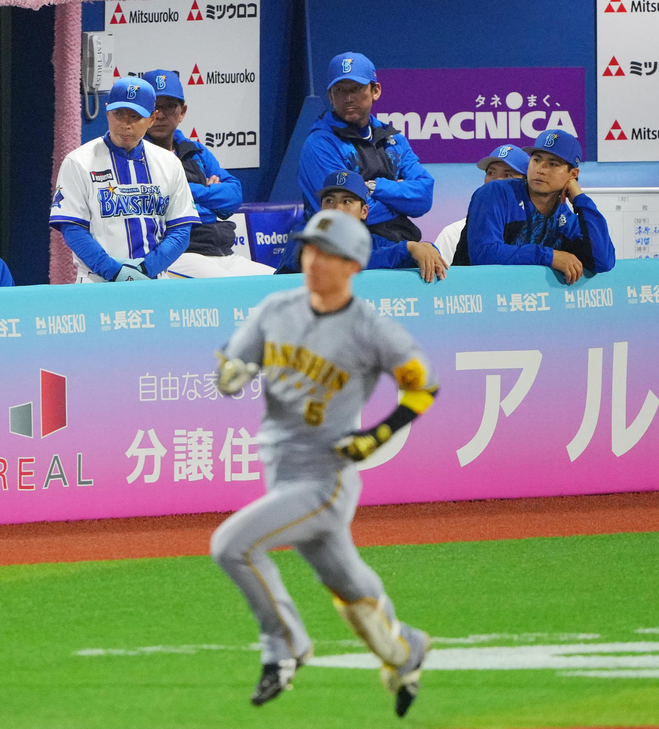 DeNA対阪神　7回表阪神無死、近本（手前）のソロ本塁打の打球を見つめる三浦監督（後方）（撮影・垰建太）