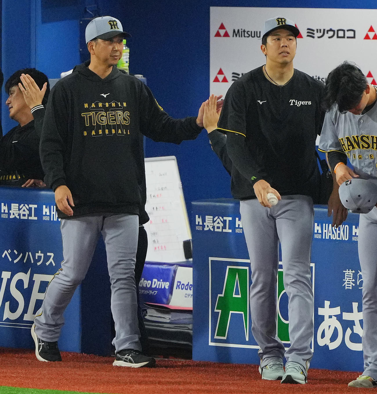 DeNA対阪神　DeNAに勝利しタッチを交わす阪神藤川球督（左）と才木（撮影・垰建太）