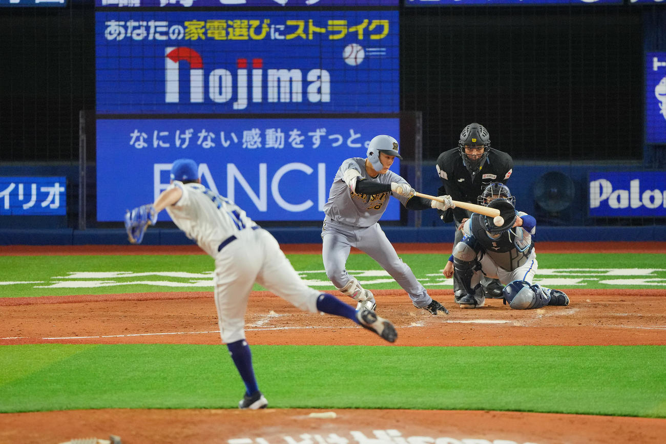 DeNA対阪神　5回表阪神無死、セーフティバントで出塁する小幡。投手バウアー（撮影・垰建太）