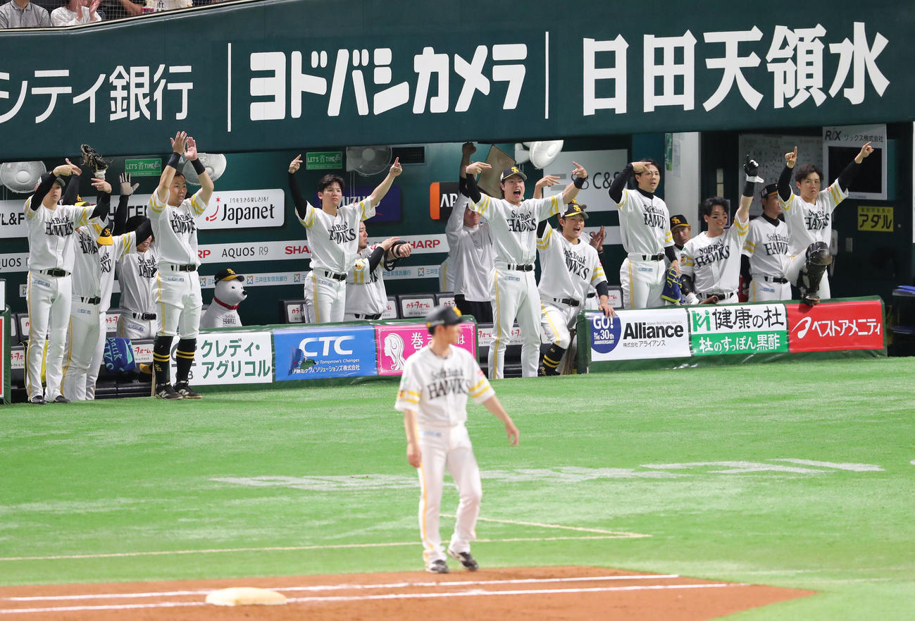 ソフトバンク対オリックス　7回裏ソフトバンク2死一、二塁、周東の右越え2点適時二塁打で盛り上がるベンチのナイン（撮影・梅根麻紀）