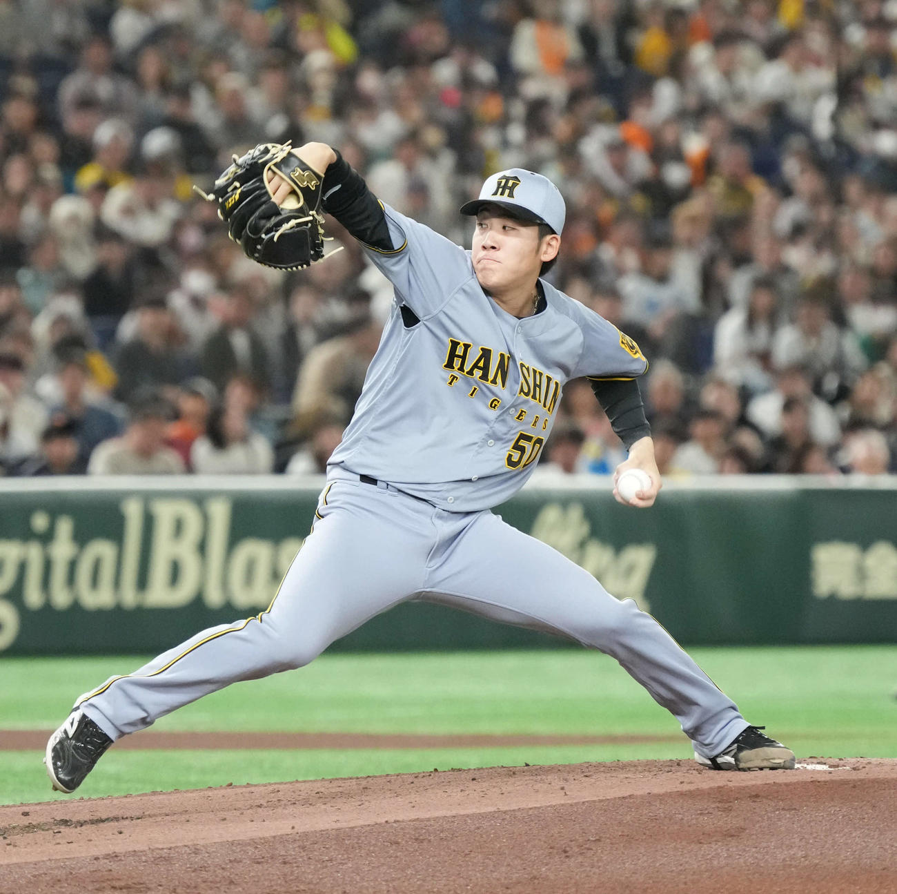 阪神富田蓮（2025年4月5日撮影）