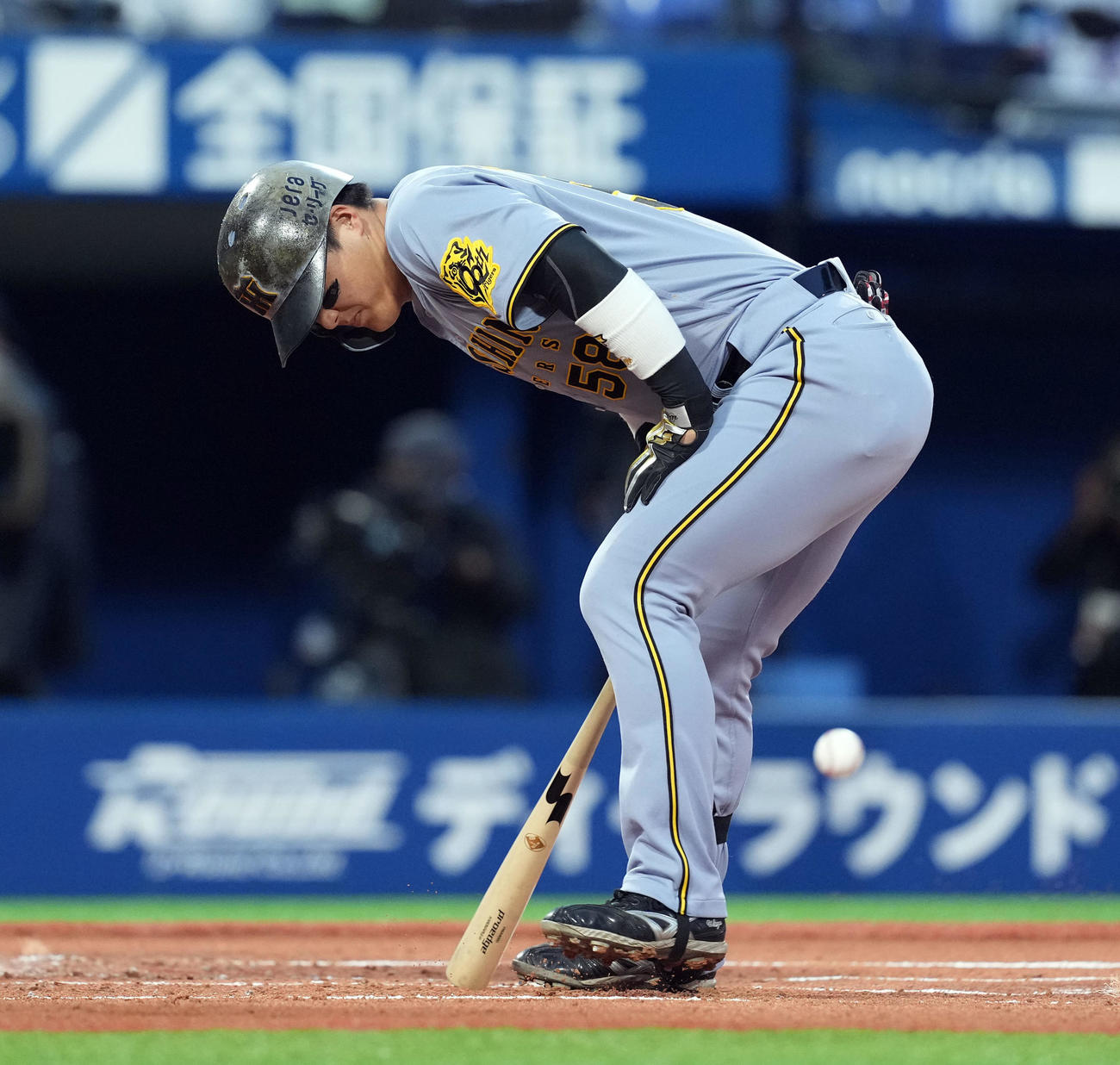 DeNA対阪神　1回表阪神2死一、二塁、死球を受ける前川（撮影・たえ見朱実）