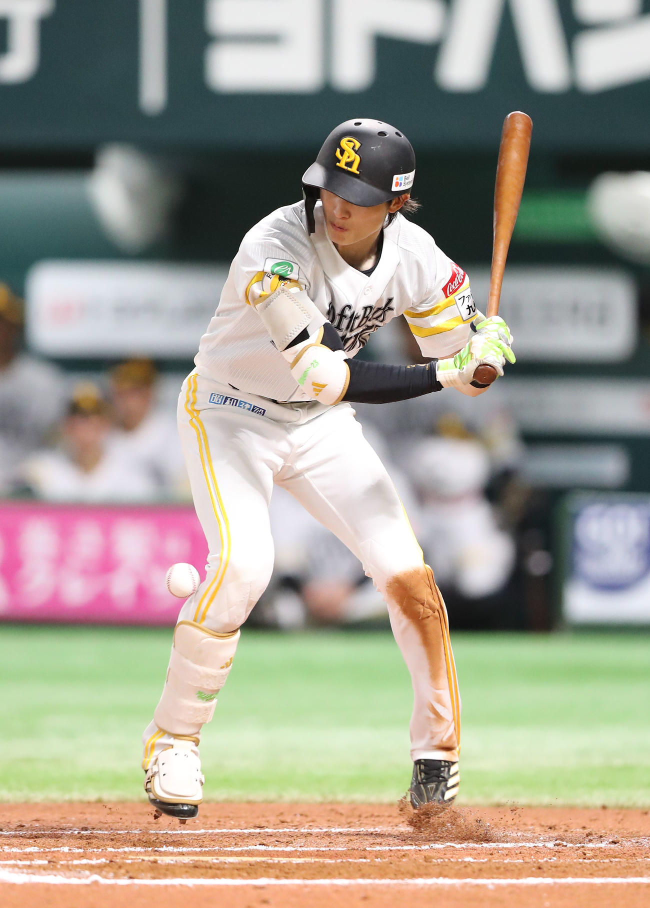 ソフトバンク対オリックス　6回裏ソフトバンク2死三塁、周東は右足に死球を受け痛さで転がる（撮影・梅根麻紀）