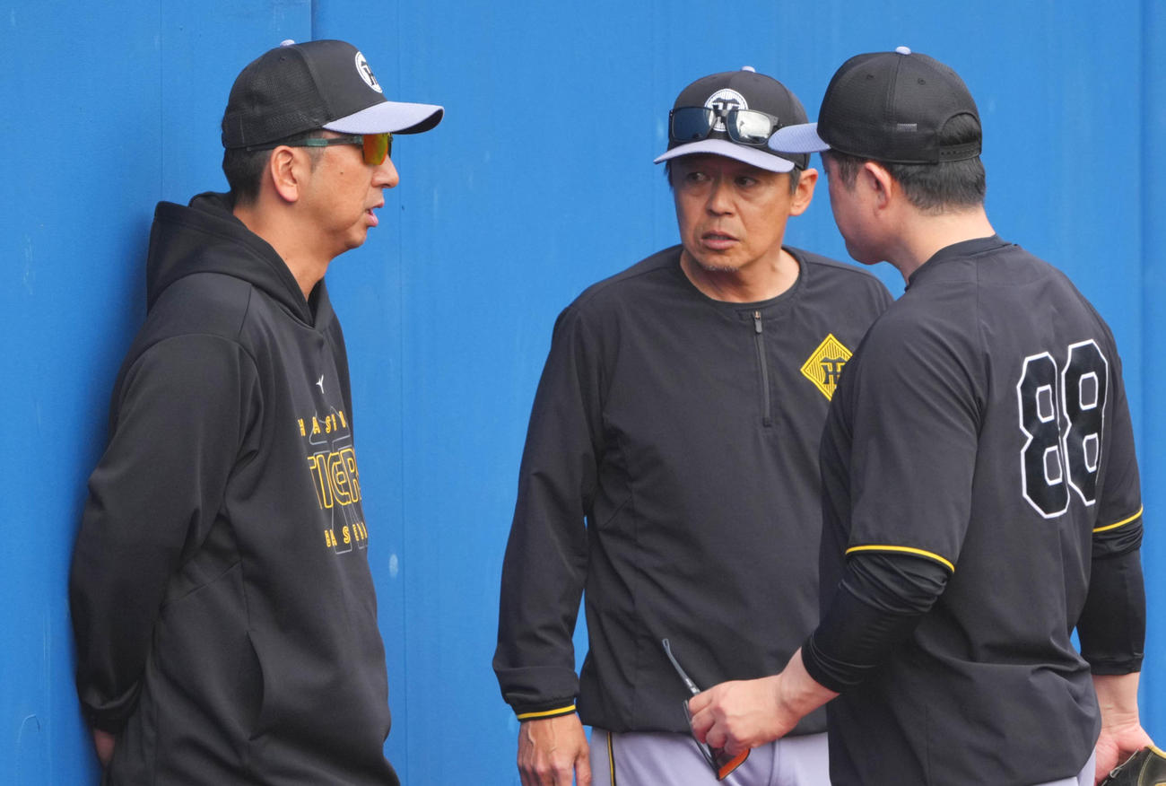 DeNA対阪神　試合前、コーチらと話し込む阪神藤川球監督（左）（撮影・垰建太）