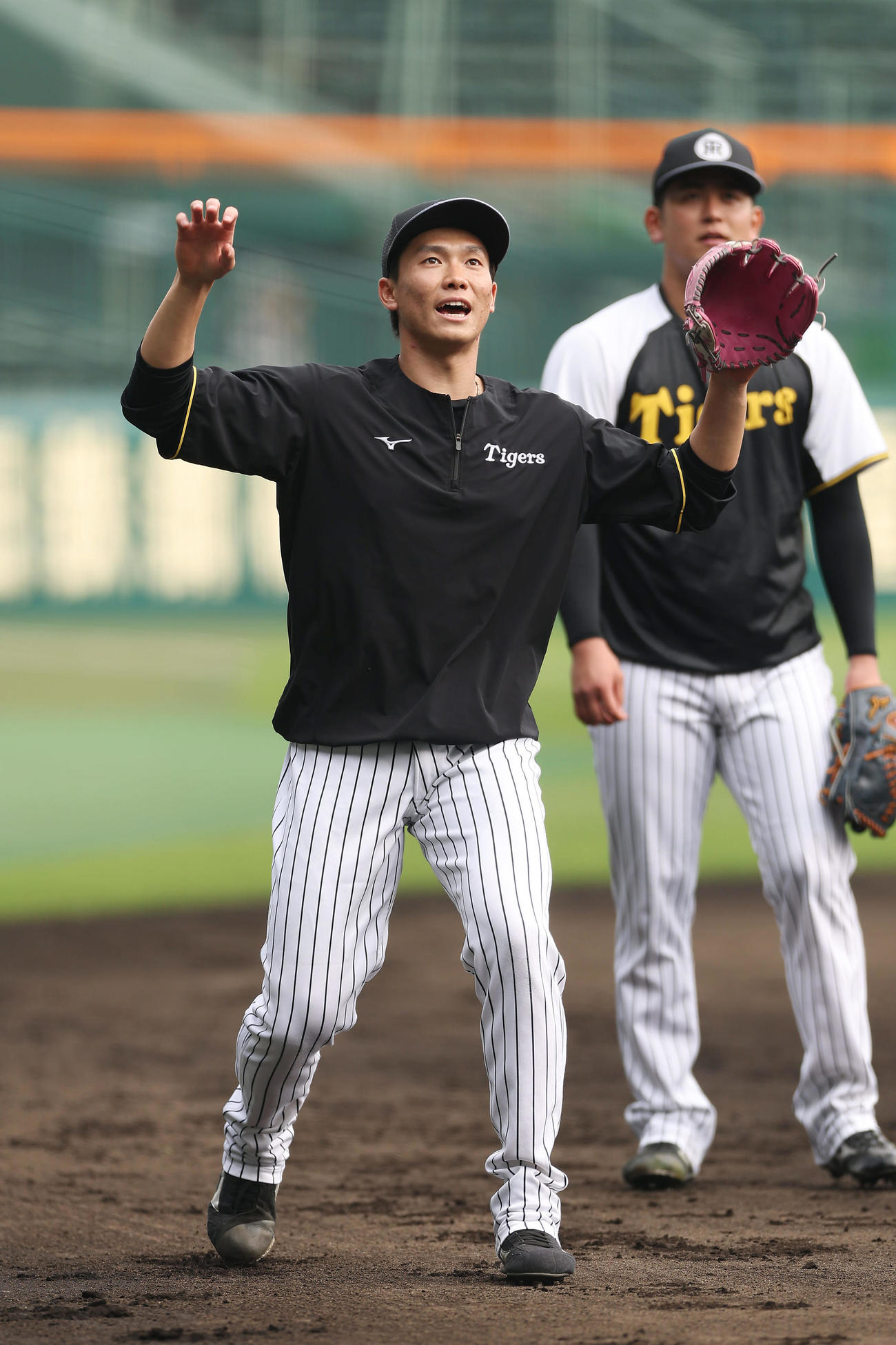 阪神対巨人　試合前練習でノックを受ける阪神湯浅（撮影・前田充）
