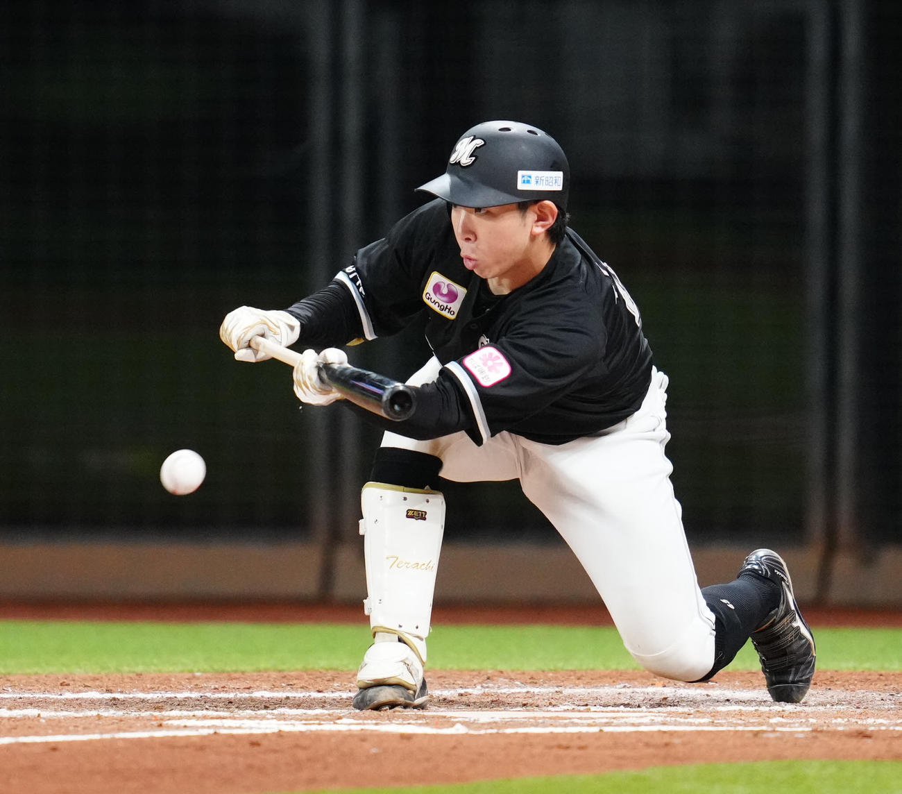 日本ハム対ロッテ　7回表ロッテ1死一、三塁、スクイズを決める寺地（撮影・江口和貴）
