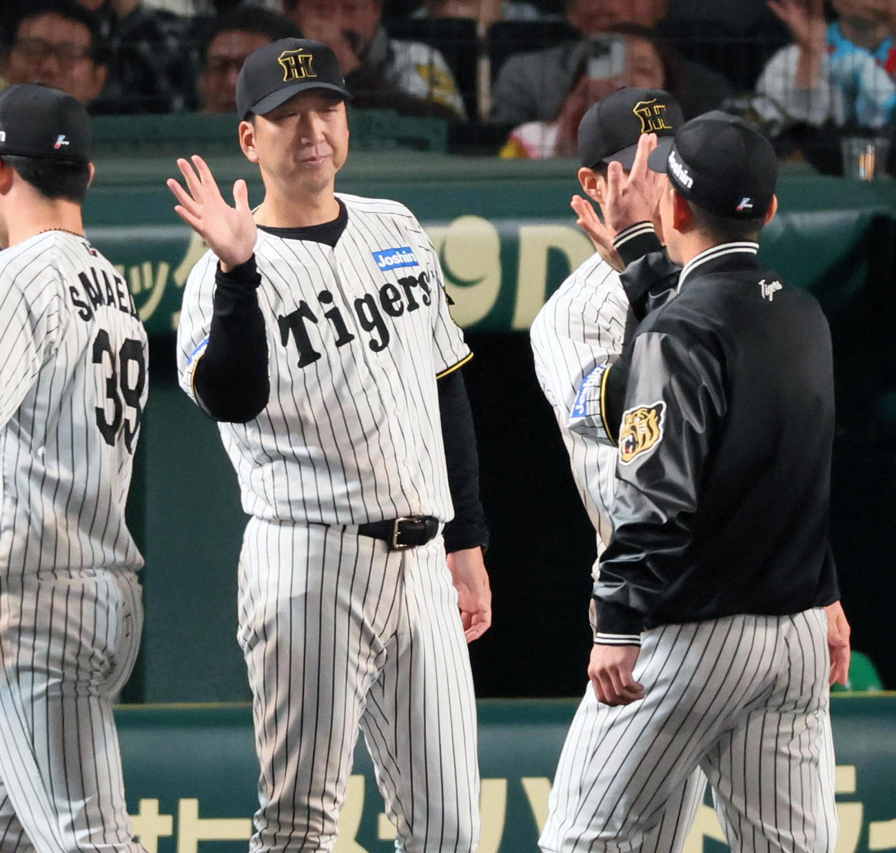 阪神対巨人　巨人に勝利しナインを迎える藤川監督（撮影・加藤哉）
