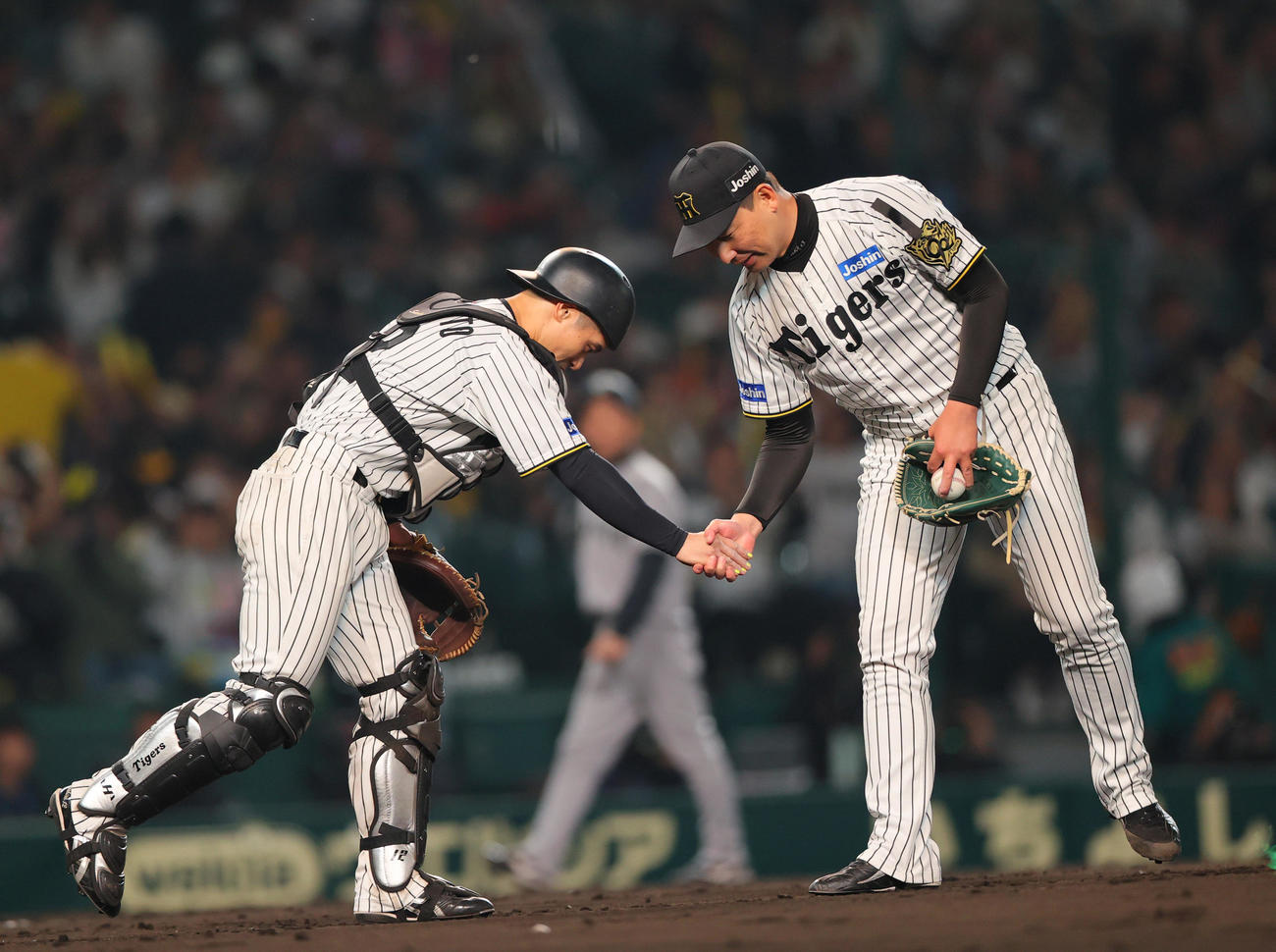 阪神対巨人　巨人に勝利し、試合を締めた岩崎（右）と握手をかわす捕手坂本（撮影・上山淳一）