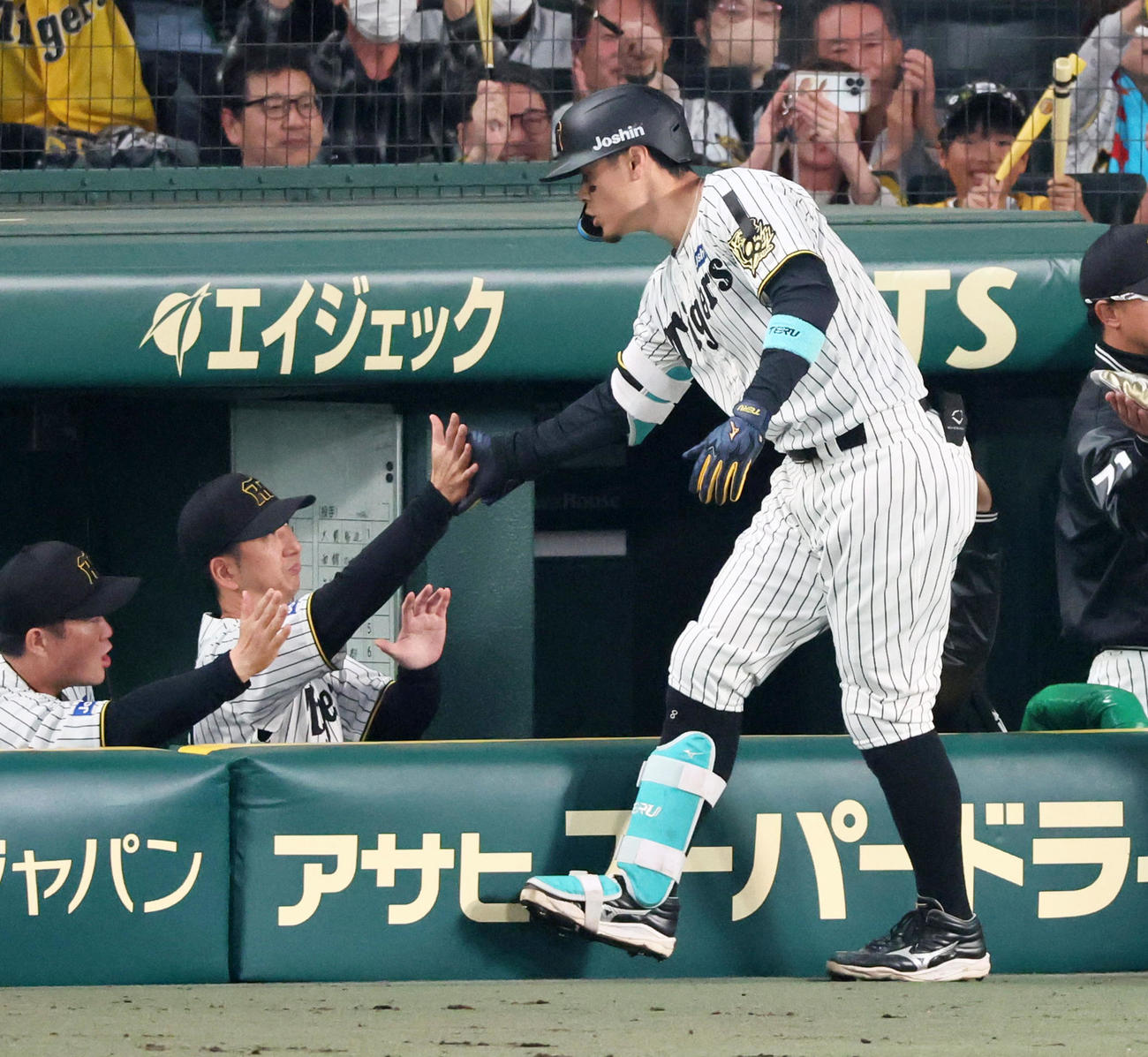 阪神対巨人　3回裏阪神1死一、二塁、佐藤輝は中越え3点本塁打を放ちベンチの藤川監督（左）とタッチする（撮影・加藤哉）