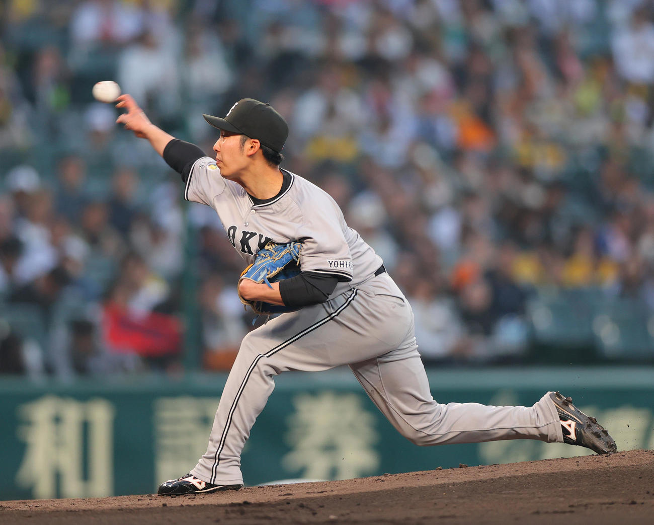 阪神対巨人　巨人先発の赤星（撮影・上山淳一）