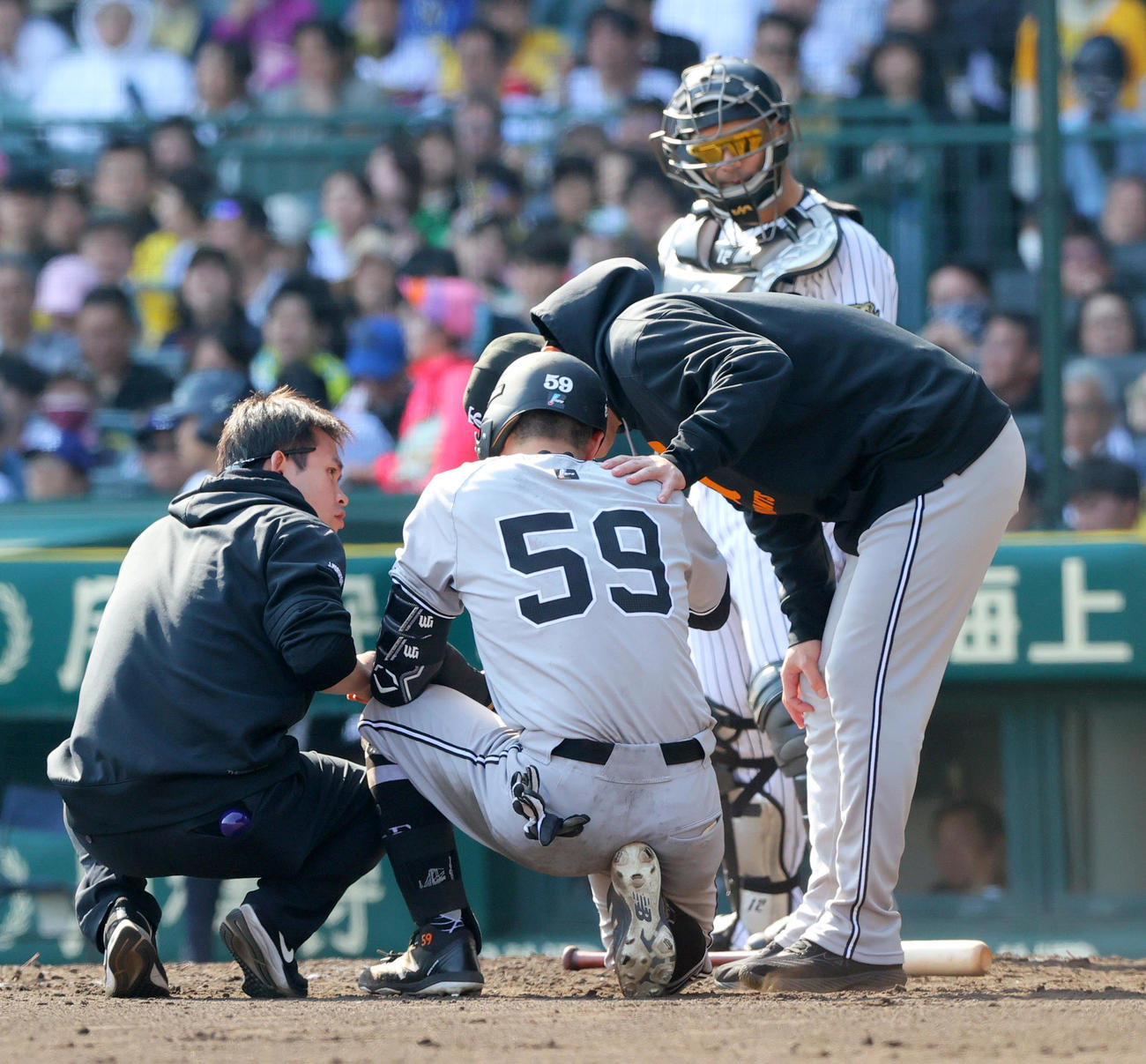 阪神対巨人　5回表巨人2死一、三塁、若林は死球を受ける（撮影・上山淳一）